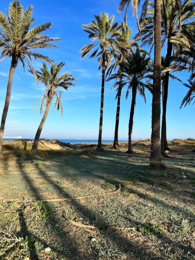 Gound Floor Bungalow Jumilla III Playa Flamenca Dehesa de Campoamor  Экстерьер фото